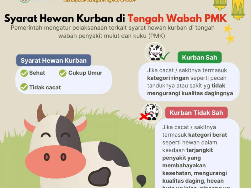 Syarat Hewan Kurban di Tengah Wabah PMK